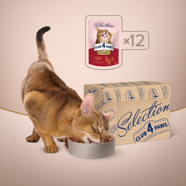 CLUB 4 PAWS Premium Plus pre mačky  prúžky s kuracim mäsom v omačke 12x85g (8094*) - Kliknutím zobrazíte detail obrázku.
