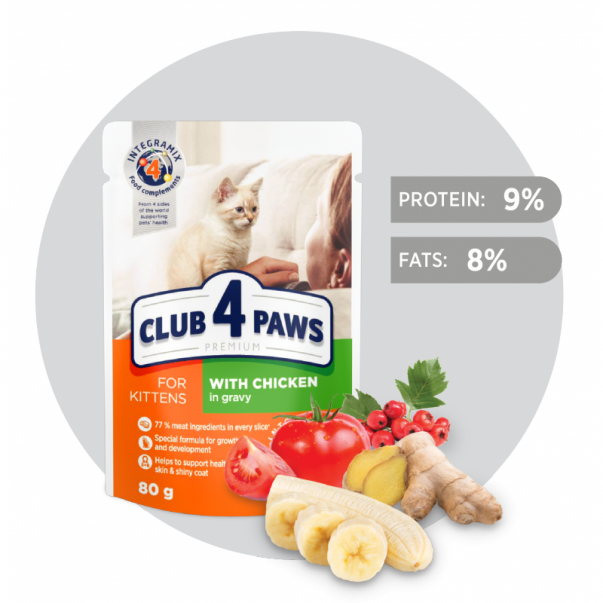 CLUB 4 PAWS Premium pre mačiatka S kuracím mäsom v omáčke 80 g (0477) - Kliknutím zobrazíte detail obrázku.