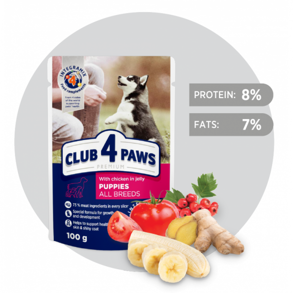 СLUB 4 PAWS Premium kapsička pre šteniatka, pre malé plemená S kuracím mäsom v želé 100 g (0509) - Kliknutím zobrazíte detail obrázku.
