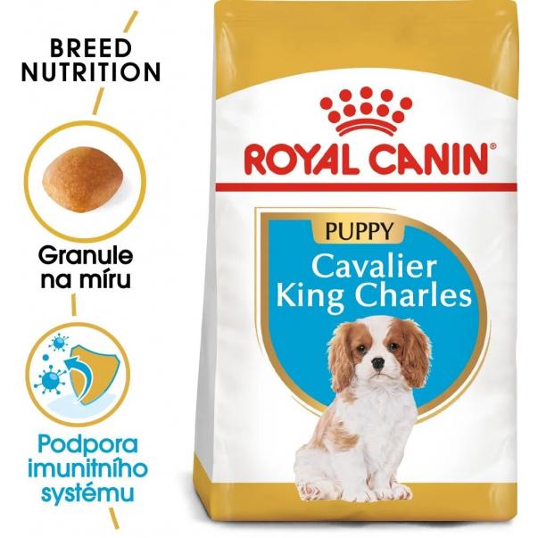 Royal Canin Cavalier King Charles Puppy 1,5 kg - Kliknutím zobrazíte detail obrázku.